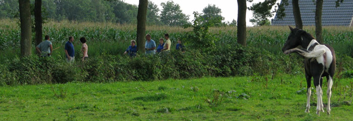 klootschieten 5e ronde