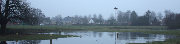 water ooievaar